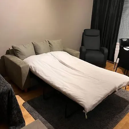 Kompakti Yksioe Sepis Joensuu