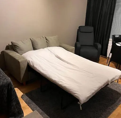 Kompakti Yksioe Sepis Joensuu